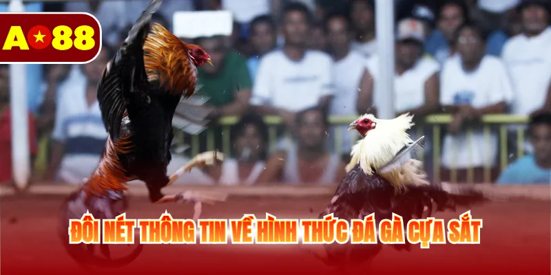 Đôi nét thông tin về hình thức đá gà cựa sắt