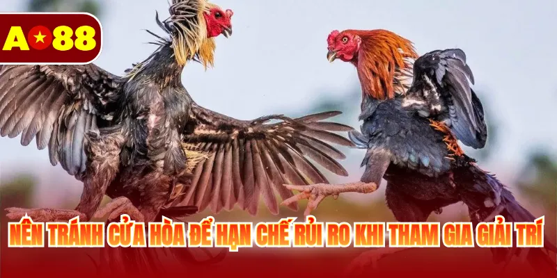 Nên tránh cửa hòa để hạn chế rủi ro khi tham gia giải trí