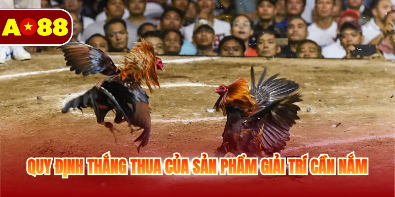Quy định thắng thua của sản phẩm giải trí cần nắm