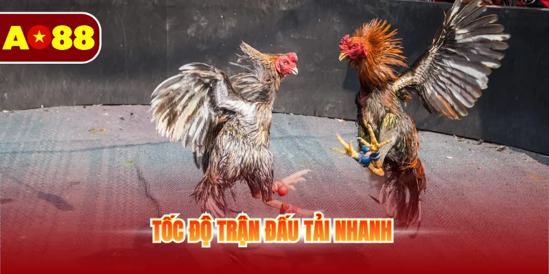 Tốc độ trận đấu tải nhanh